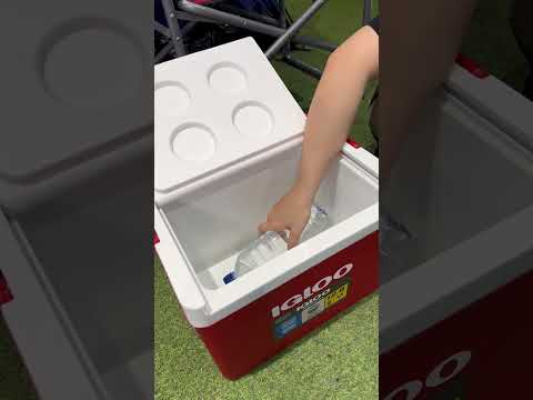 Gambar Igloo 5 Ltr Essential Cooler Box - Merah