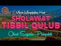 SHOLAWAT TIBBIL QULUB Sholawat Nabi Merdu Penenang Hati Dan Pikiran Penyembuh Sakit Jasmani Rohani