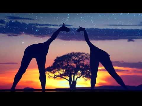 Trailer Moving Shadows Our World!