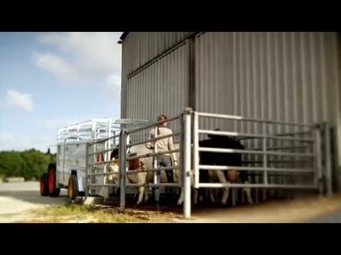 BETIMAX RDS - Danatek -Have & Park Butik hqdefault