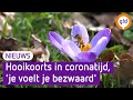 Hooikoorts in coronatijd zorgt voor 'nies-schaamte'