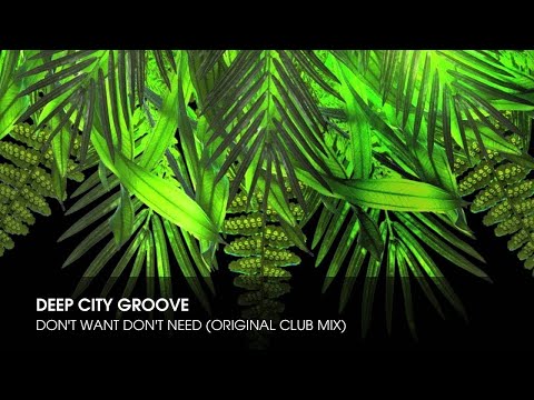 Deep City Groove - Don't Want Don't Need (Original Club Mix)