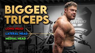 My MUST DO triceps exercises! (all you need)