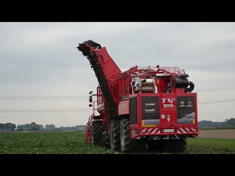 Volle bak rooien in de zware klei met de Holmer T4 40