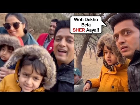 So Cute !!! Ritesh Deshmukh With Wife Genelia And Kids ENJOY Jungle Safari In Jaipur Video