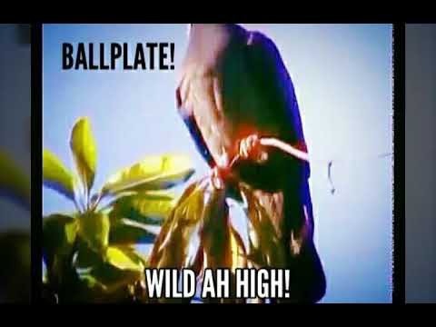 Dolla Gee Money Pah Money