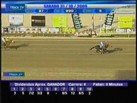 Resumen 31 de Octubre  2009 - La Rinconada