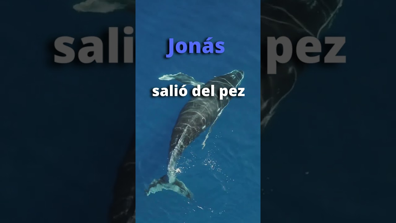 Ningún escogido que entró a la prueba, murió en ella.