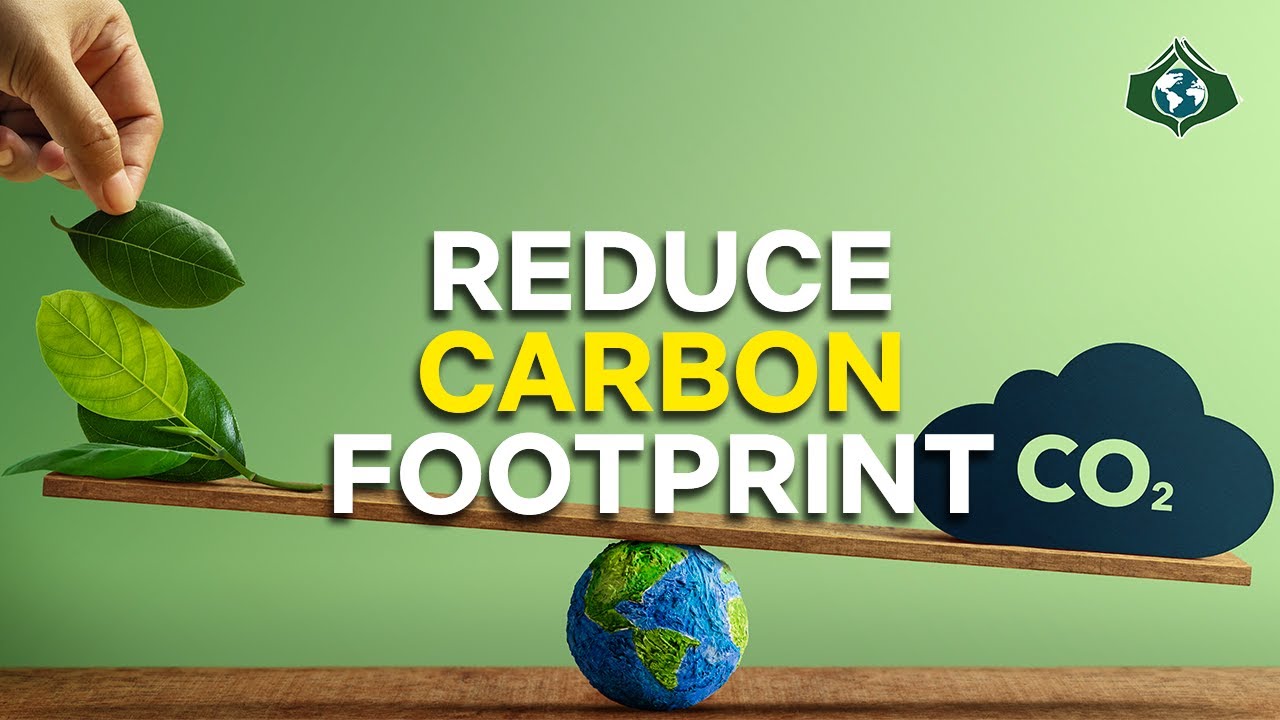 The 10 Smartest Carbon Footprint Hacks