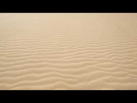 Lasse O'Månsson - Sanda trottoarerna (1965)