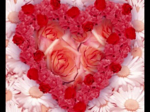 adriano pappalardo - ricominciamo