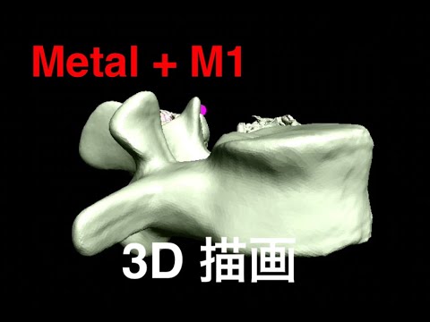 保健学科 Metal + M1 3D 描画