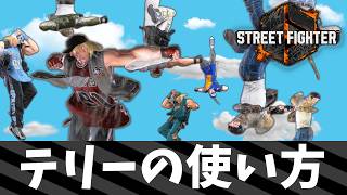 【スト6】テリーの使い方