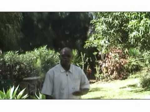 ICHIBOTE(SHALOM) - FR.JOSEPH MUTASHALA