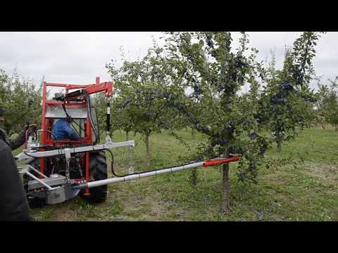 Встряхиватель фруктовых деревьев Jagoda