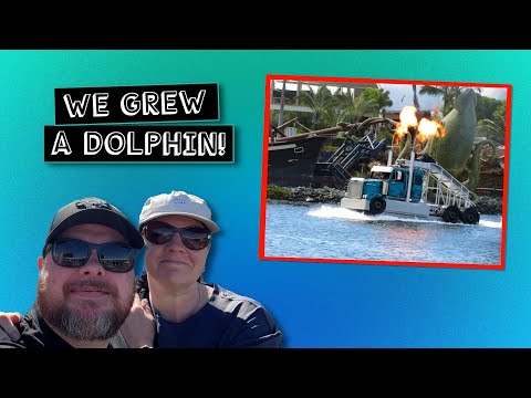 We Spent the Day at Sea World on the Gold Coast - Ben's Worx Vlog