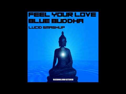 Feel Your Love Blue Buddha (Lucid Smashup)