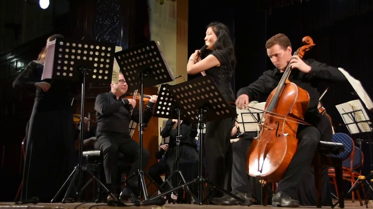 Promotional video thumbnail 2 for Love and desire flute music