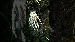 Download lagu Penemuan Paling Menakutkan [ Metal Detektor ] Pinpointer. Pemburu harta karun mp3