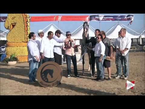 3rd place N.130 E.S. HARIR - Menton 2015 - Senior Male Championship (Class 16)