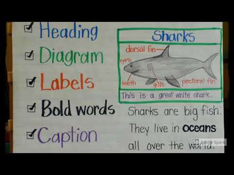 Cook Kindergartener's English Language Arts Vocabulary by Gina Batie, elementary education teacher