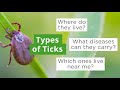 Types of Ticks and Diseases They May Carry