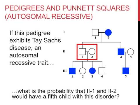 Solving pedigree genetics problems