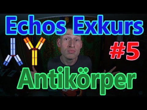 Echos Exkurs #5 - Antikörper