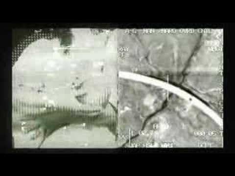 Concert Visual: K.I.A. feat. Monica Dust