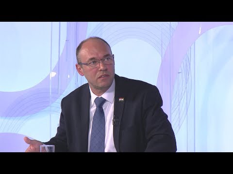 BUDNICA 17.6.2020. DAVOR IVO STIER: HDZ je jedina brana dolasku ljevice na vlast!