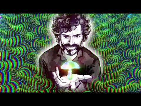 Terence McKenna - The Mushroom Said To Me (Compilation)