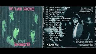 THE FLAMIN&#39; GROOVIES live in San Francisco, xx.09.1979