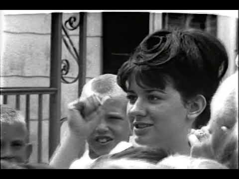 Search For The Mothman (2002)