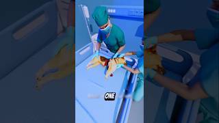 The Most Brutal Transplant You Will Ever Hear About