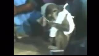 Download lagu Tertawa Sejenak alipers 3 jenggo Benyamin S mp3