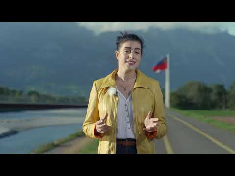 100 Jahre liechtensteinische Verfassung