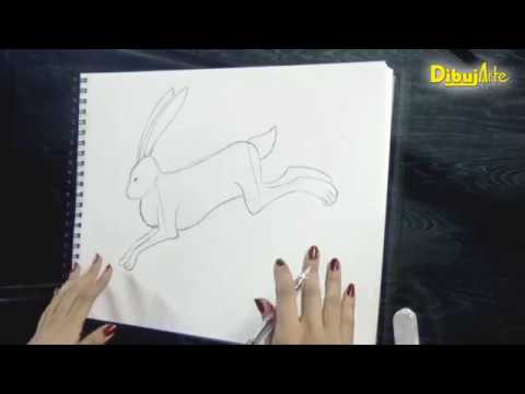 download lagu mp3 mp4 Como Dibujar Una Liebre Para Nios, download lagu Como Dibujar Una Liebre Para Nios gratis, unduh video klip Como Dibujar Una Liebre Para Nios
