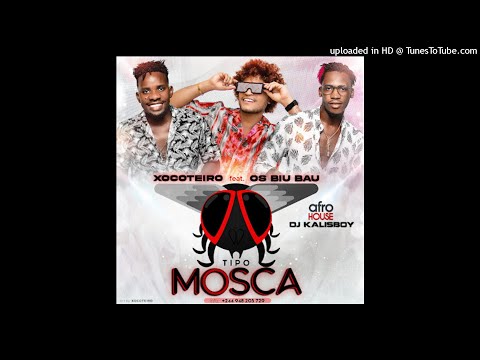 Xocoteiro Feat. Os Biu Bau & Dj Kalisboy - Tipo Mosca (Áudio Oficial)