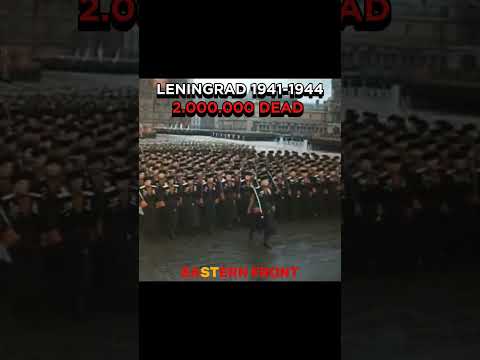 Don't forget the sacrifices of veterans #history #ww2 #edit #military #ww2edit