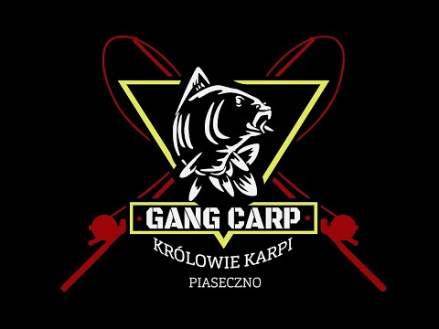 Otwarte Zawody Teamów Karpiowych. Wygonin 2020