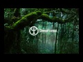 Deep Forest - Green & Blue (live)