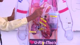 e-GURU: SAINS Tingkatan 3 - Sistem Urinari