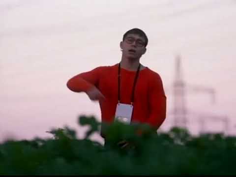 Niclov - baby was haben wir getan?