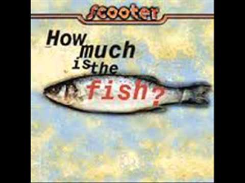 DJ Funny_Frog How Much Is The Fish [RMX]