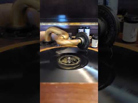 Precious - (vocal chorus) Paul Whiteman and his Orchestra  Victor Records #20139