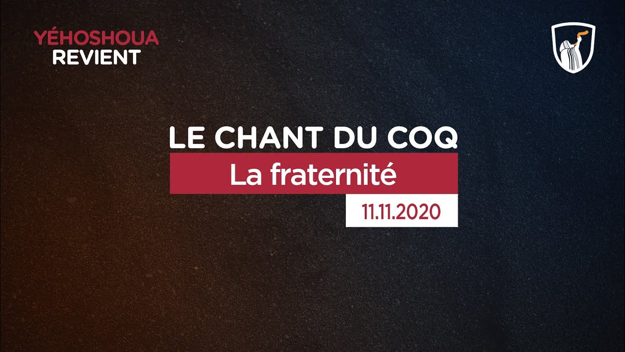 Thumbnail of video: La fraternité