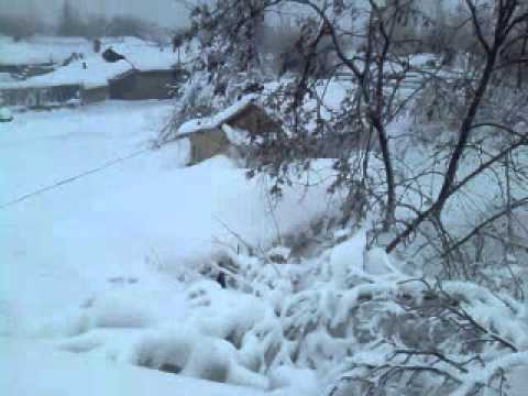 Rosiori Ialomita Iarna 2012