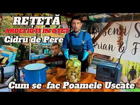 TOAMNA ÎN MUNȚII APUSENI 🍎 PREGĂTIRI PENTRU IARNĂ – USCĂM POAME ȘI FACEM CIDRU | EP. 62