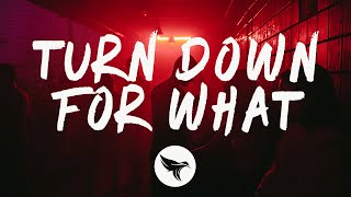 DJ Snake &amp; Lil Jon - Turn Down For What (Lyrics)