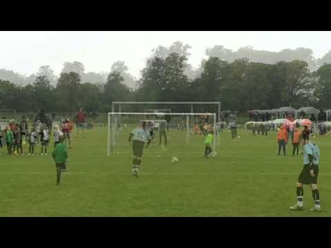 Falster Pinsecup 2015